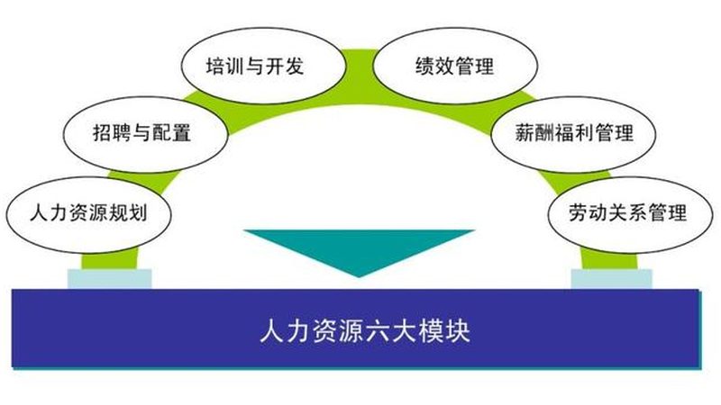 揭秘高级人才寻访供应商：优缺点与选择要点
